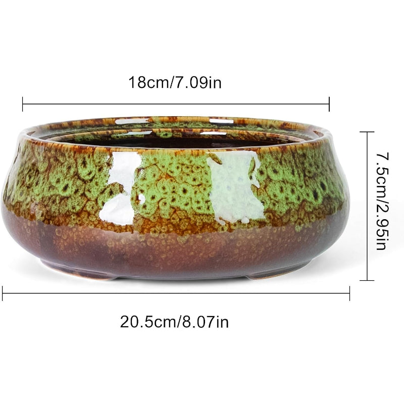 8 Inch Large Succulent Plant Pot