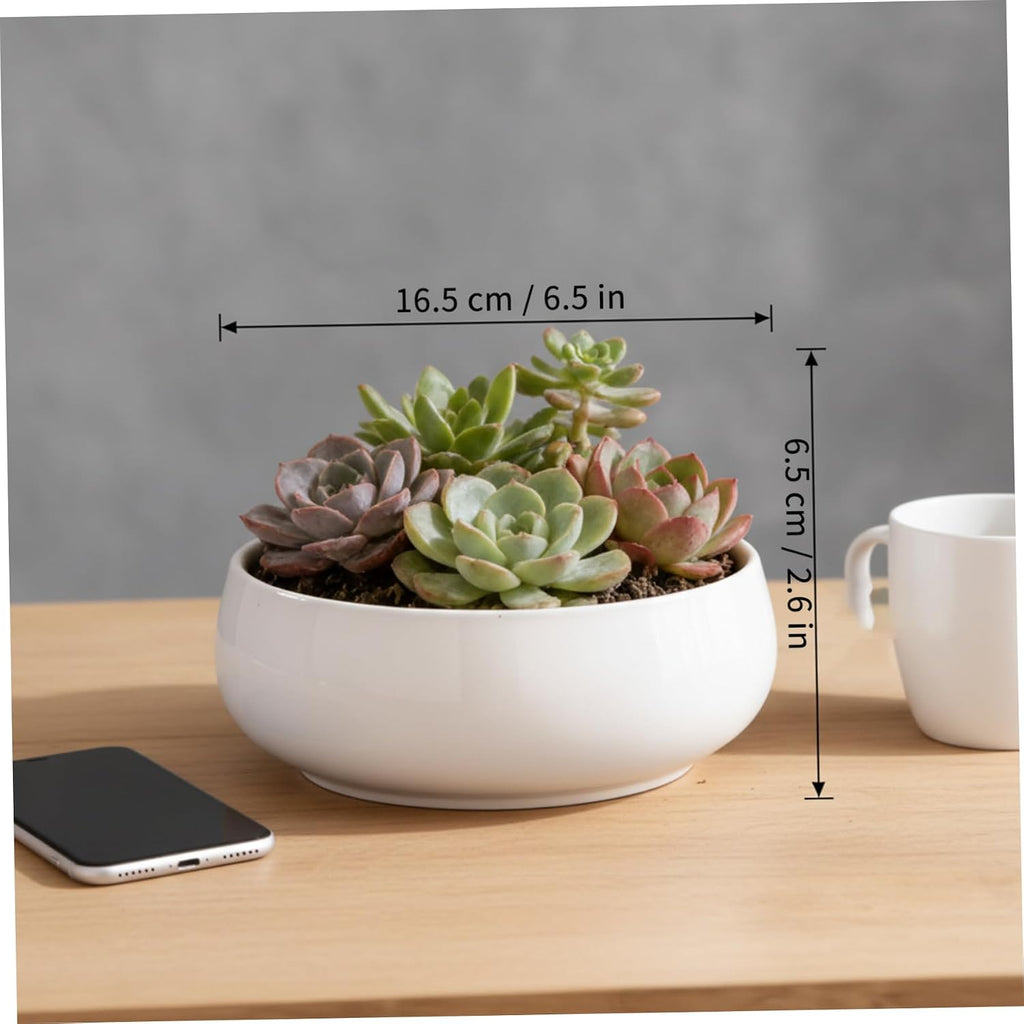 6.5 Inch White Ceramic Shallow Lotus Planter