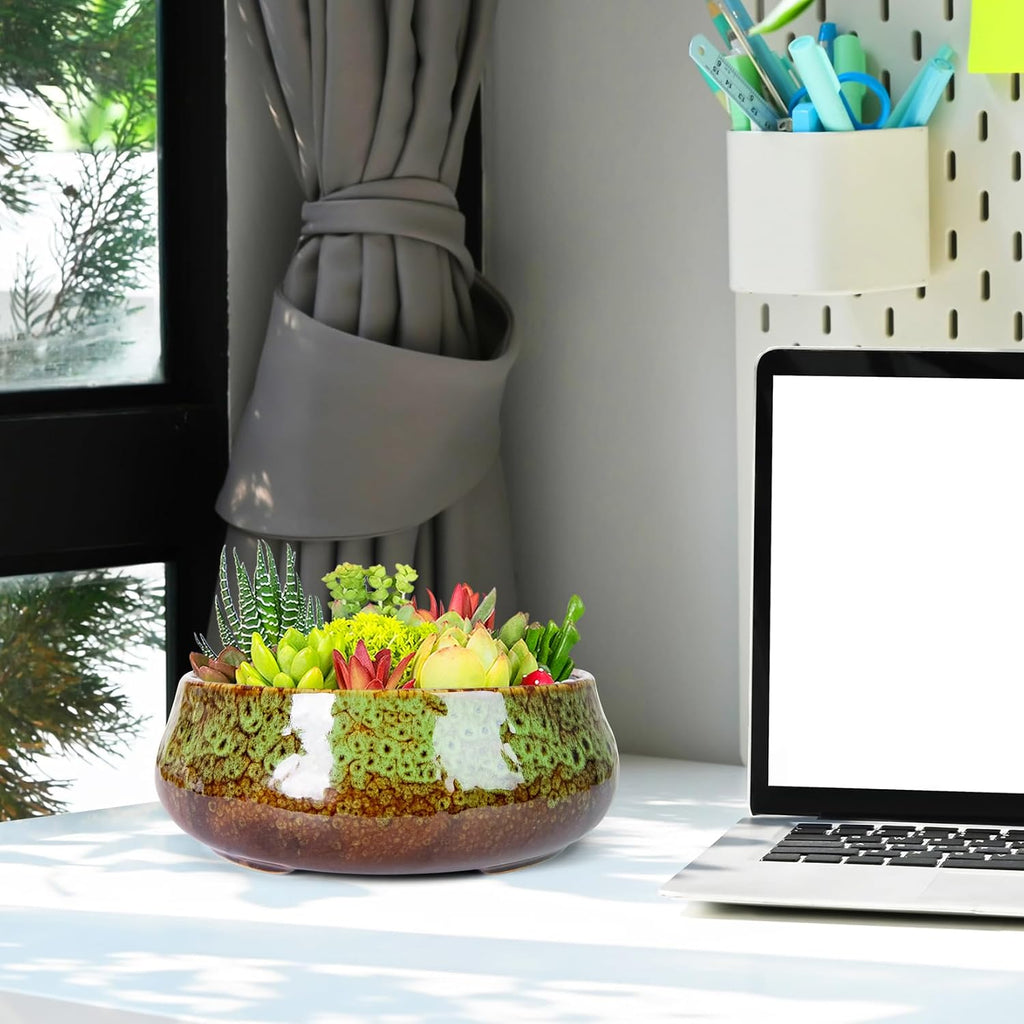 8 Inch Large Succulent Plant Pot