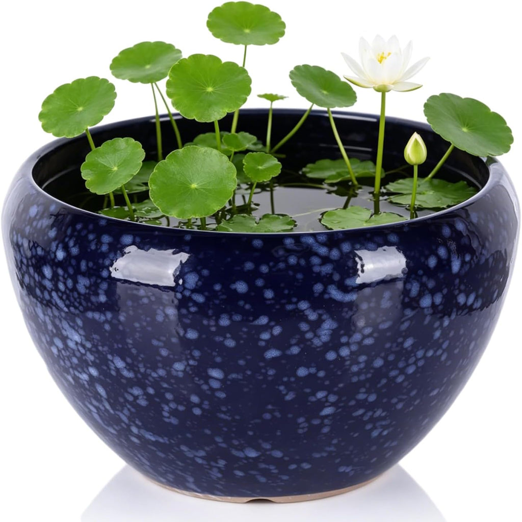8 Inch Blue Wide Bowl Ceramic Planter