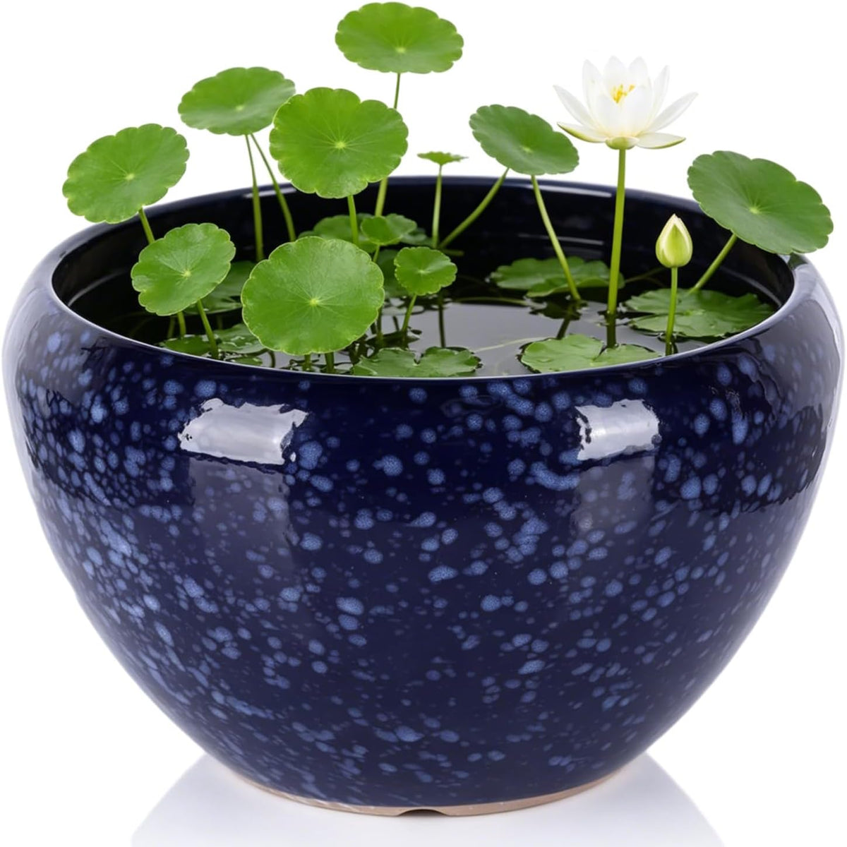8 Inch Blue Wide Bowl Ceramic Planter