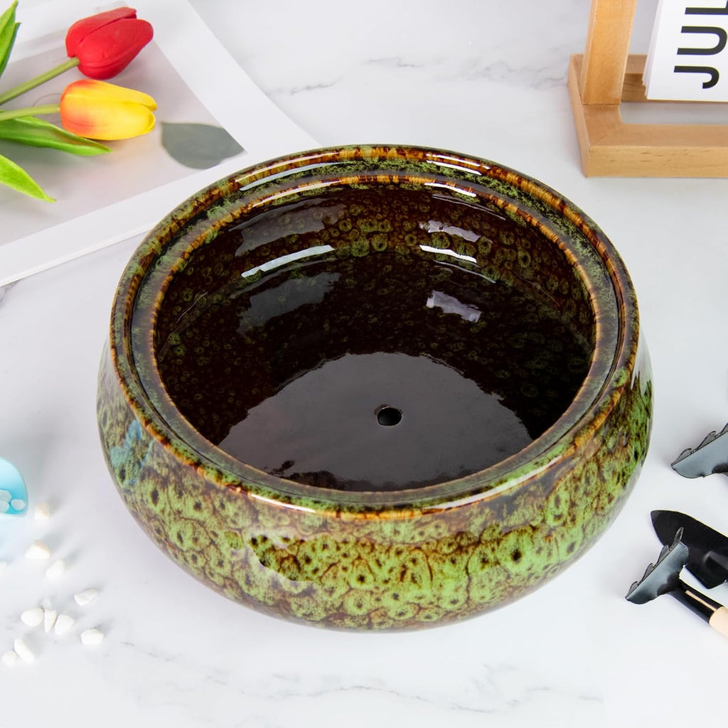 8 Inch Large Succulent Plant Pot