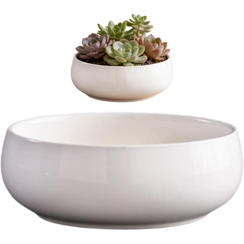 6.5 Inch White Ceramic Shallow Lotus Planter