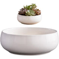 6.5 Inch White Ceramic Shallow Lotus Planter