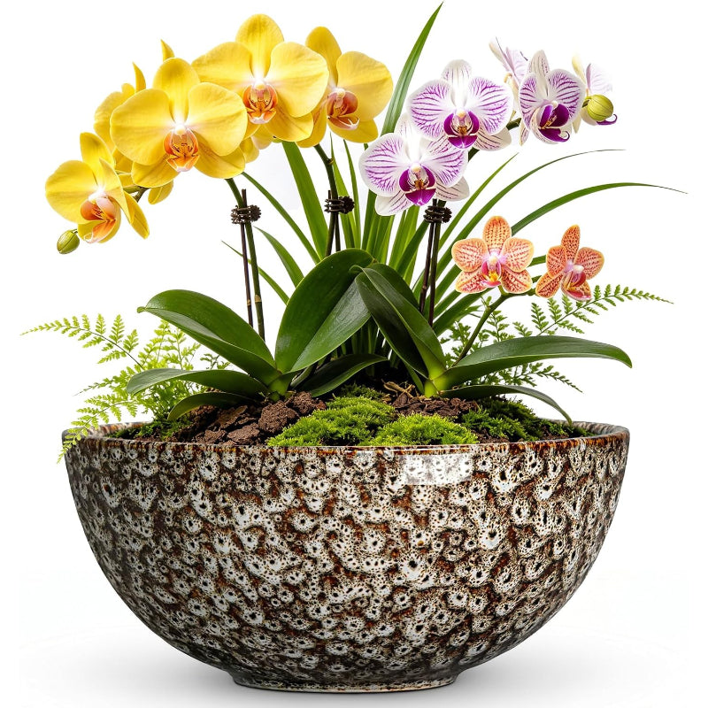 8 Inch Ceramic Succulent Pots, White Leopard