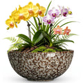 8 Inch Ceramic Succulent Pots, White Leopard