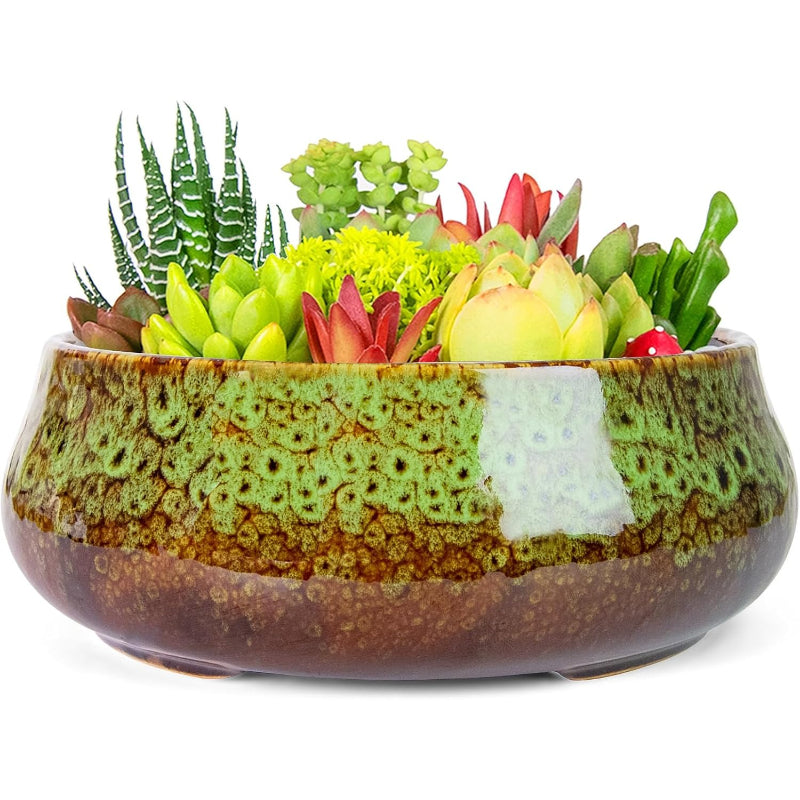 8 Inch Large Succulent Plant Pot